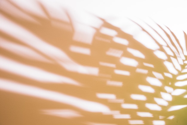 Defocussed palm leaves on white background