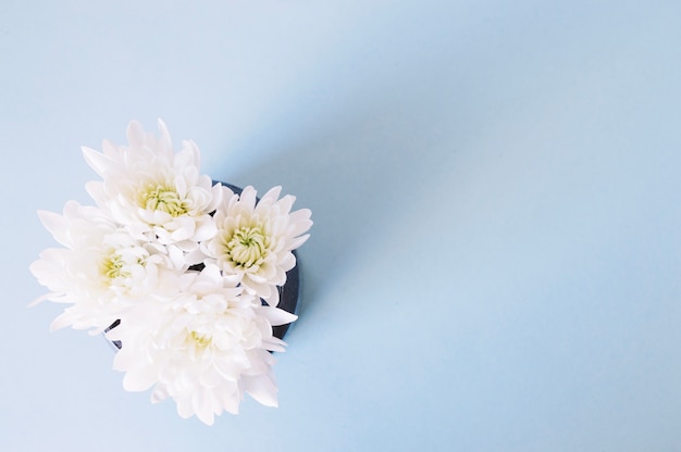 Free photo delicate flowers in vase