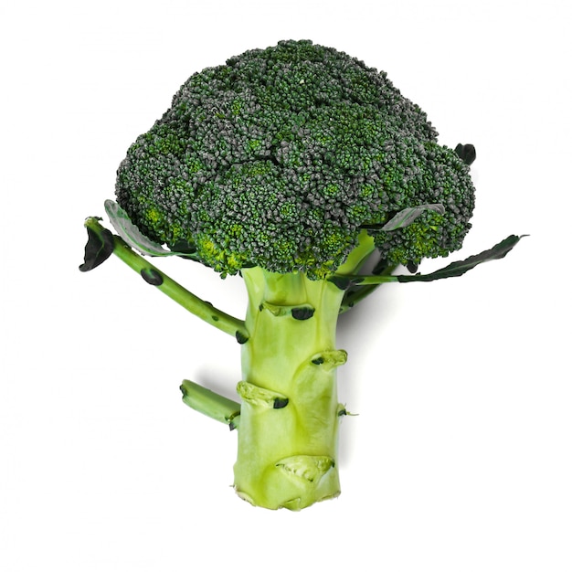 Free Photo delicious broccoli