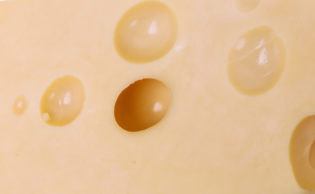 Delicious cheese closeup