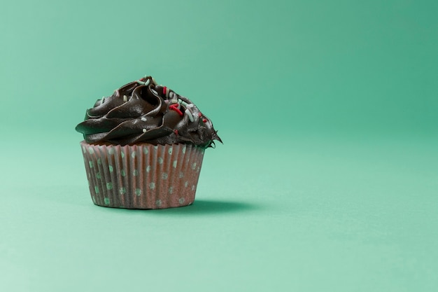 Delicious chocolate cupcake