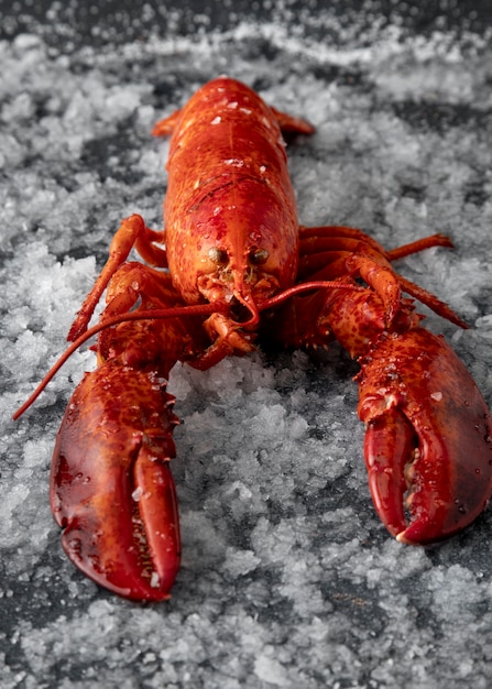 Free photo delicious cooked sea food