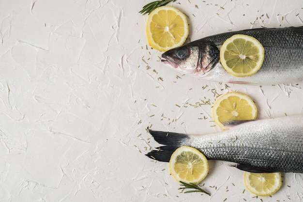 Free photo delicious fish frame with lemon slices