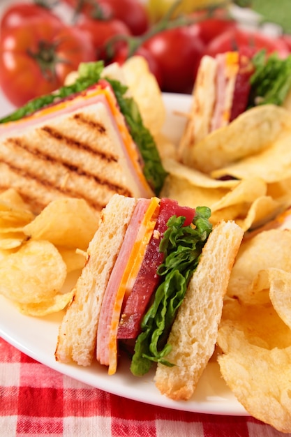 Delicious ham and cheese club sandwich