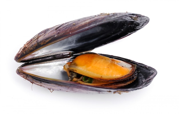 Delicious mussels on white