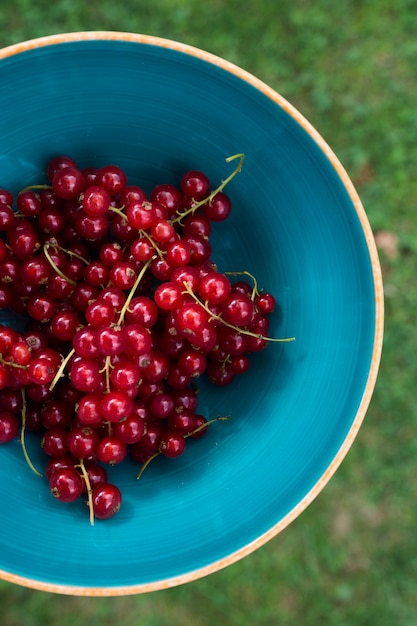 Free photo delicious organic cranberries top view