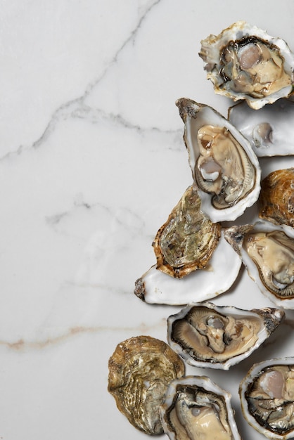 Free photo delicious  oysters ready to eat still life