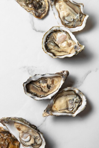 Delicious  oysters ready to eat still life