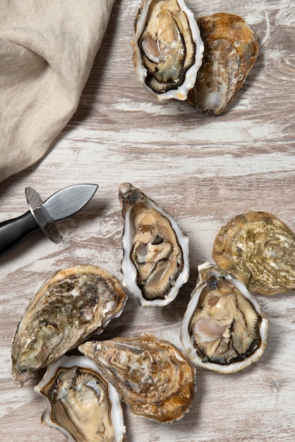 Free Photo delicious  oysters ready to eat still life