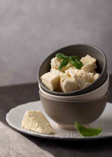 Free Photo delicious paneer cheese assortment