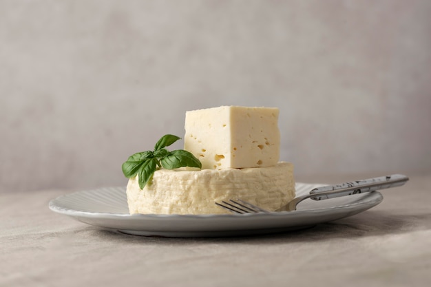 Free Photo delicious paneer cheese composition