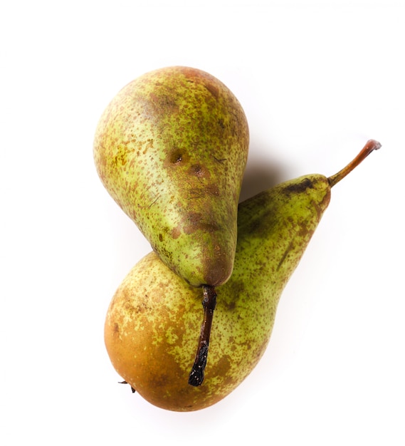 Free Photo delicious pear