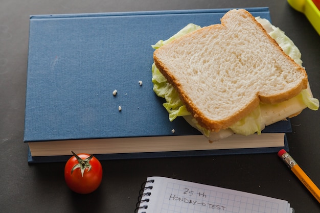 Delicious sandwich on textbook