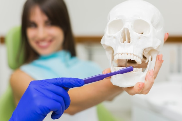 Free photo dentist holding skull and toothbrush