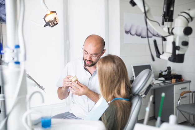 Dentist showing dental jaw to his female patient