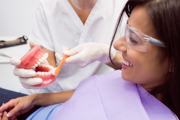 Dentist showing model teeth to female patient