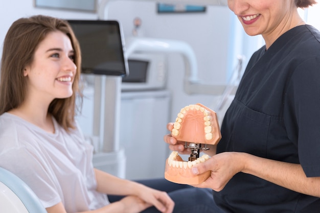 Free Photo dentist showing teeth model to smiling patient