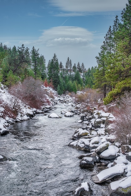 Free Photo deschutes river surrounded with forests during daytime