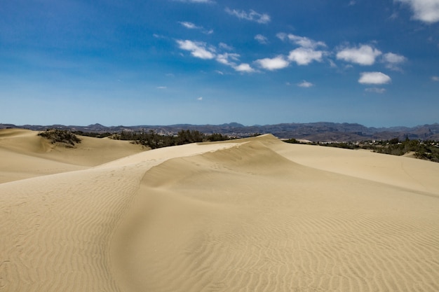 Desert area with sand dunes with a mountain range