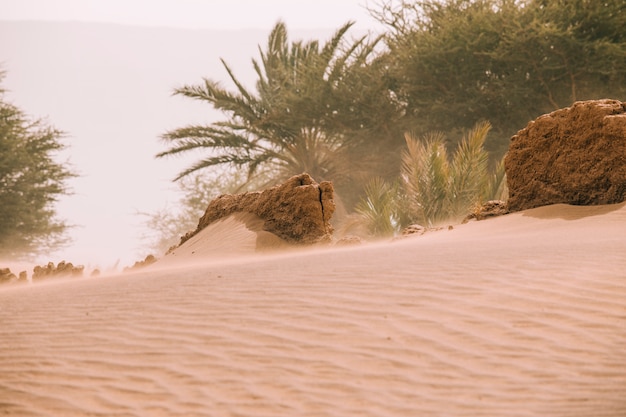 Free Photo desert landscape in morocco