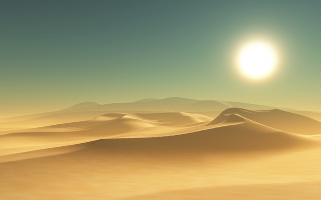 Desert landscape