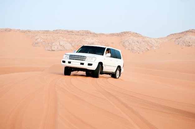 Free Photo desert safari