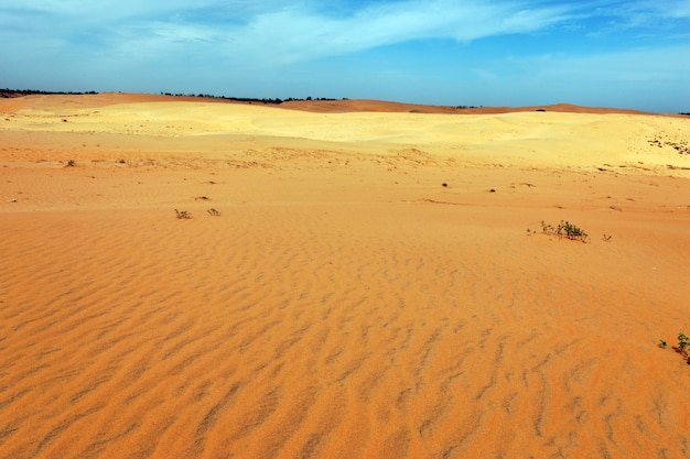 Desert on a sunny day