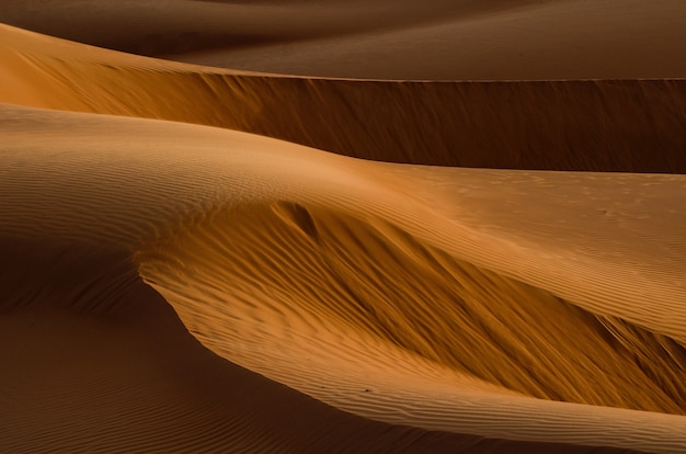 Desert with sand dunes