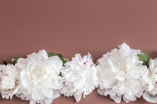 Design concept - top view of bunch of beautiful flowers on colored wall with copy space