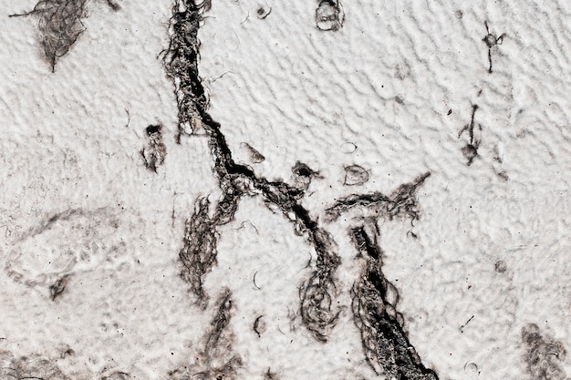 Free photo detail of a brown trunk