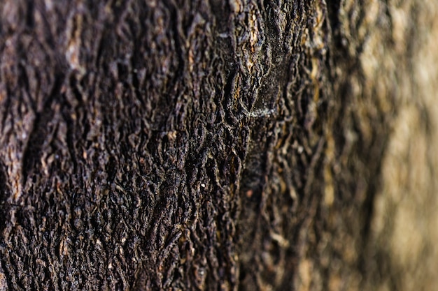 Free photo detail of brown wooden trunk