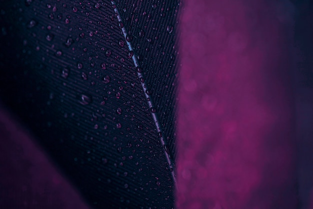 Detail of purple feather textured backdrop