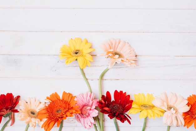 Free photo different blooming flowers on table