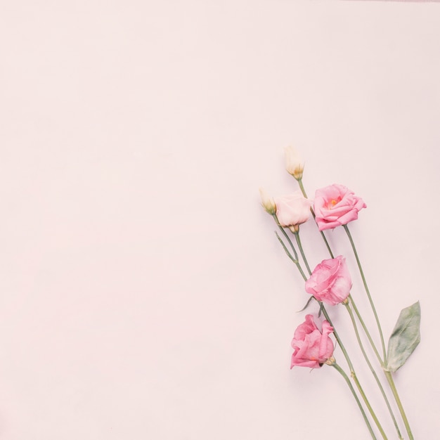 Different bright flower branches on table