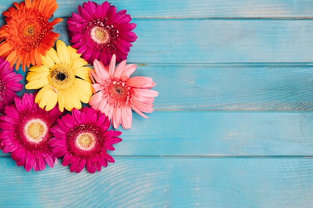 Free Photo different colored blooms on blue table