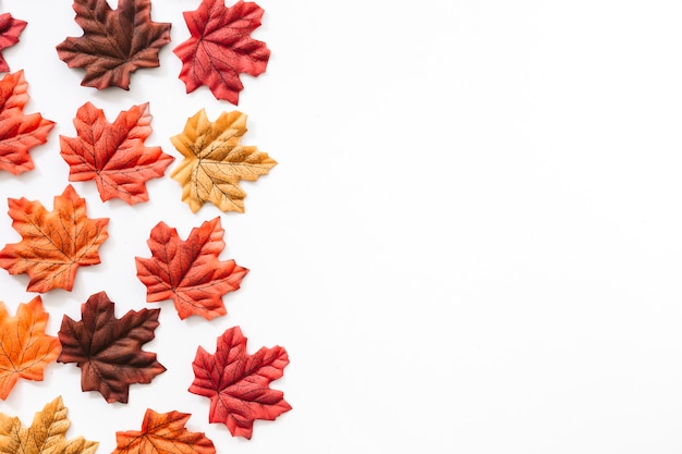 Free Photo different colorful autumn leaves over white background