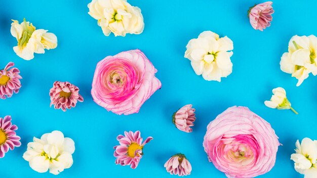 Different flower heads on bright background