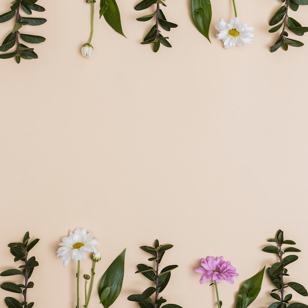 Different flowers and leaves