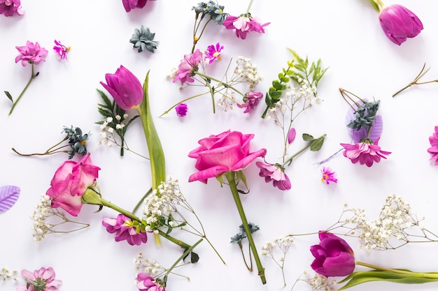 Different flowers scattered on light table