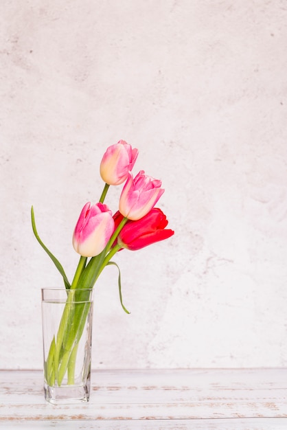 Different fresh colourful tulips in glass