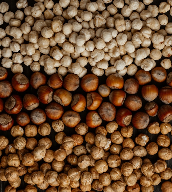 Different types of hazelnuts