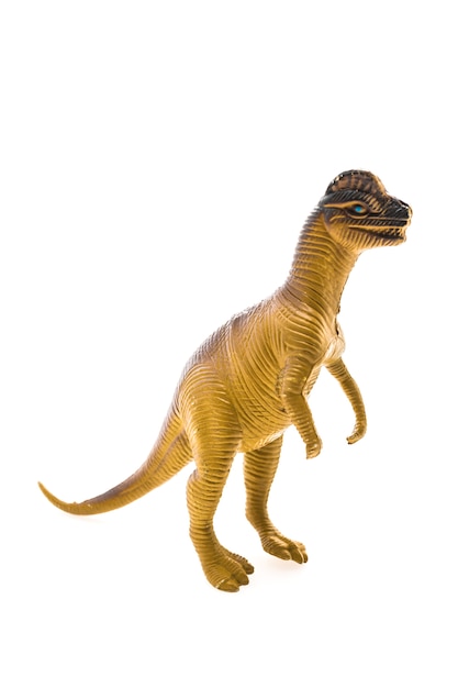 Dinosaur toy on white background