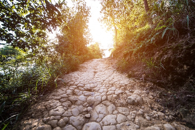 Free photo dirt road in the countryside