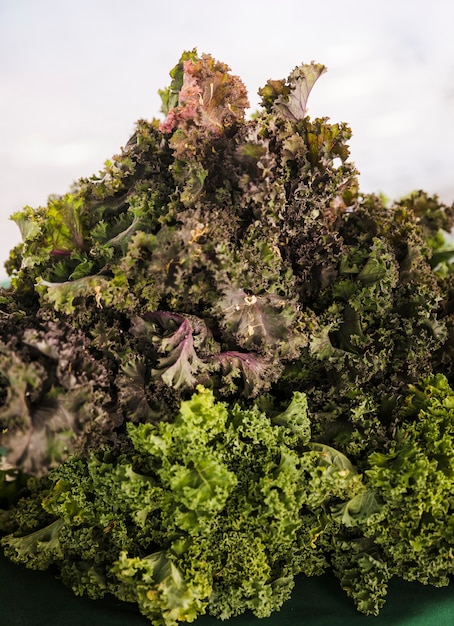 Display of fresh ripe organic kale at farmer's market