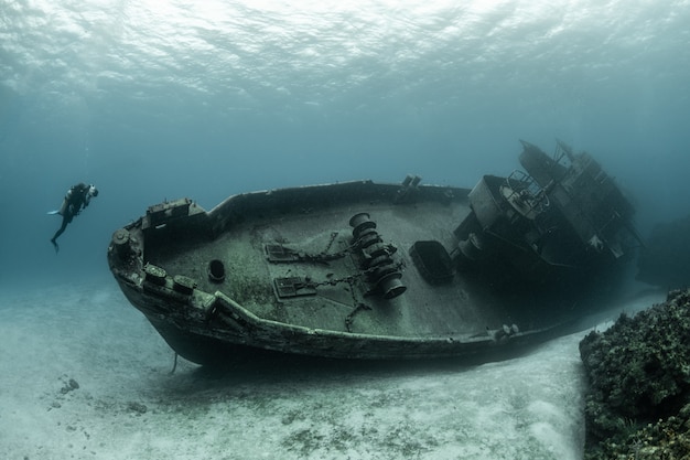 Free Photo divers examining the famous uss kittiwake submarine wreck in the grand cayman islands