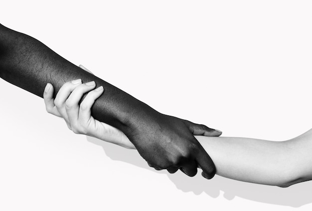 Free photo diverse hands holding each other for blm movement social media post