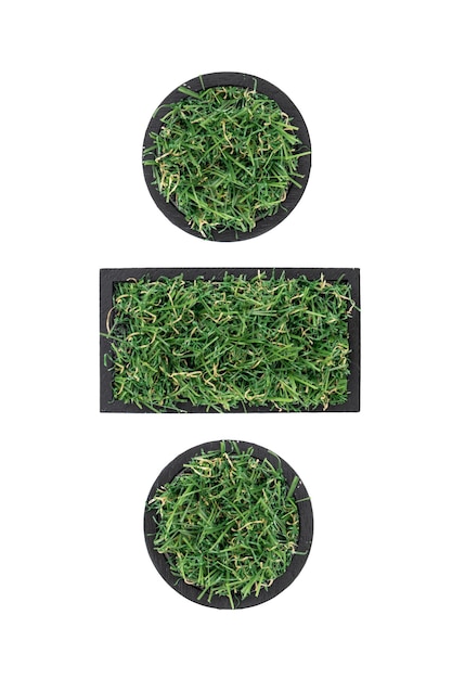 Division sign made of green grass isolated