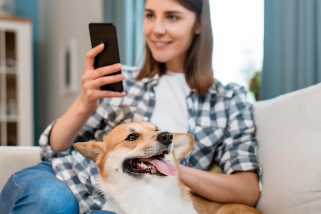 Dog being caressed by woman