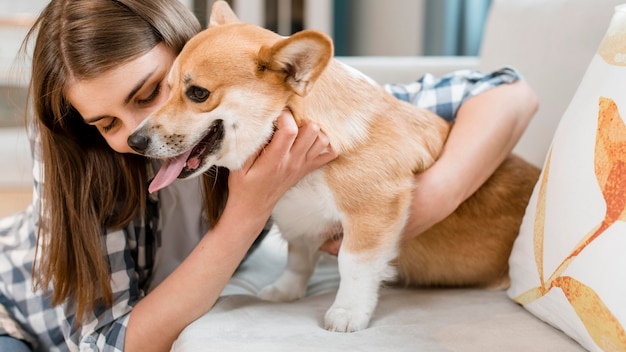 Dog being held by its owner