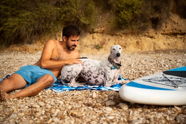 Free photo dog having fun at the beach